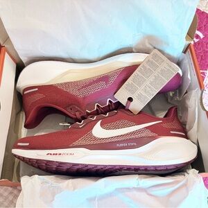 Nike Mens Zoom Pegasus 41 FSU Florida State Running Shoes Sz 12.5 FZ5114 600